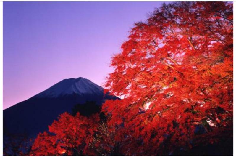 Erable Mt.Fuji "Kaze" Villa Фуджикавагучико Екстериор снимка